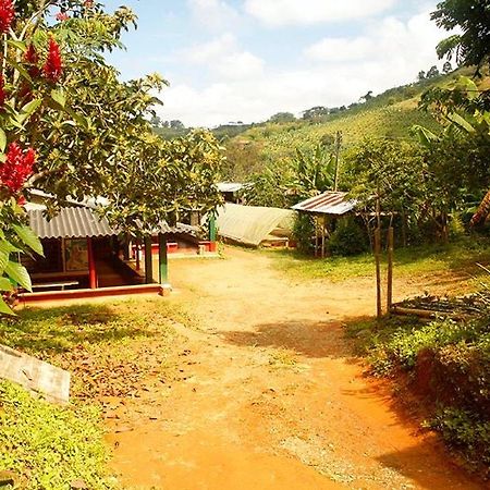 Buenavista  Caficultur -Alojamiento Rural المظهر الخارجي الصورة