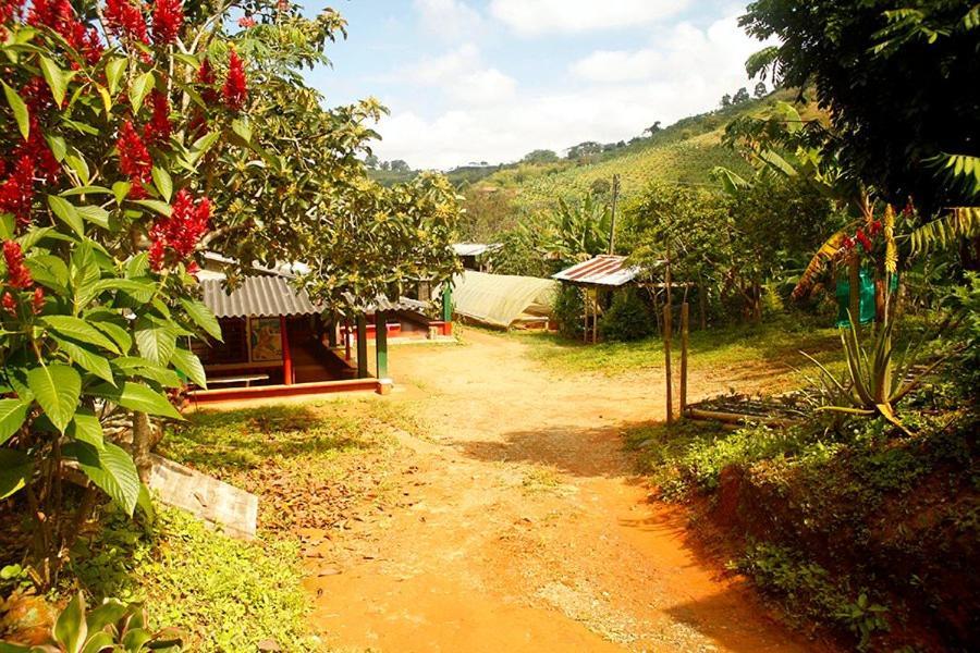 Buenavista  Caficultur -Alojamiento Rural المظهر الخارجي الصورة
