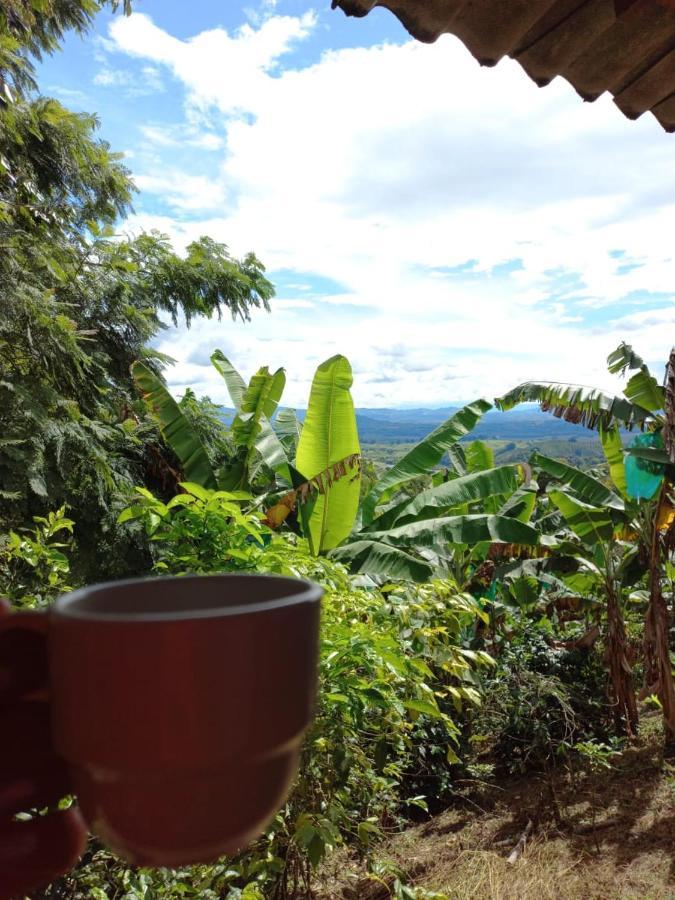 منزل الضيف Buenavista   في Alojamiento Rural Cafe Yarumo المظهر الخارجي الصورة