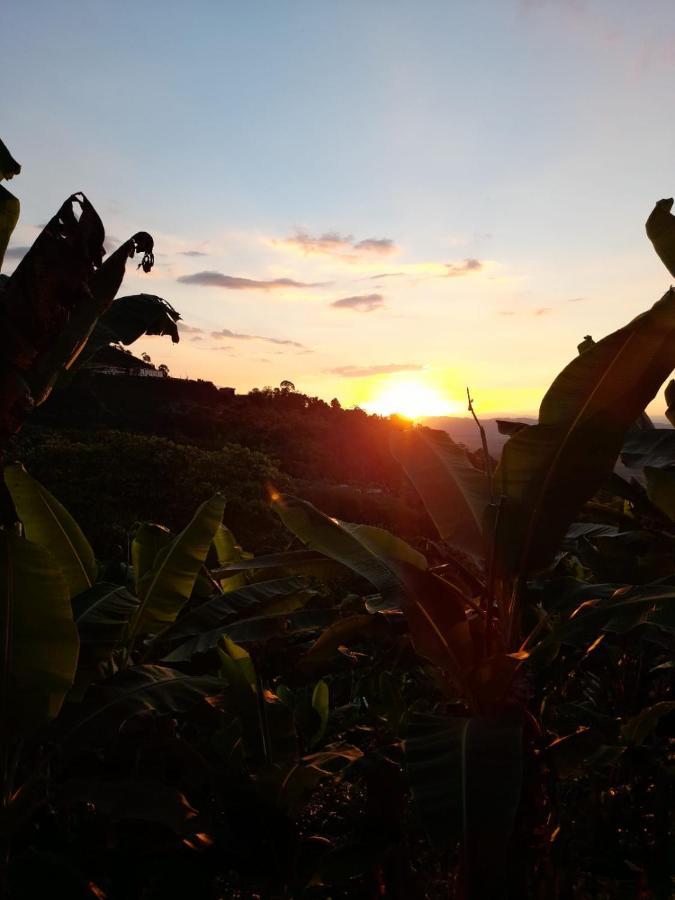 منزل الضيف Buenavista   في Alojamiento Rural Cafe Yarumo المظهر الخارجي الصورة